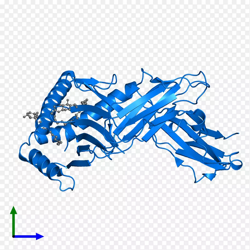 ����������-������