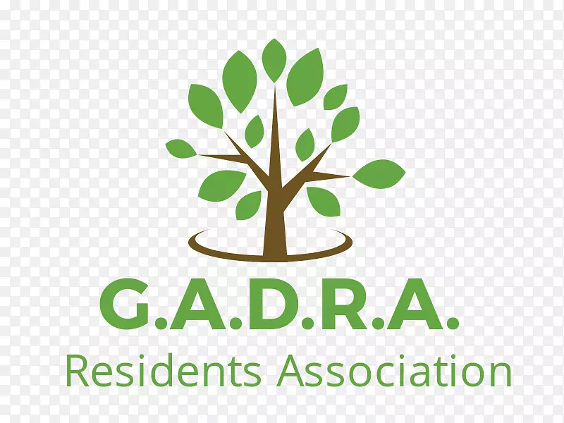 �ձ���Ʒ��Ҷ������-������