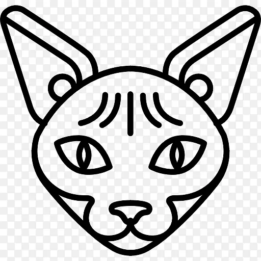 ����ͼ�꣬è�ƺ��룬������-ʨ��-������