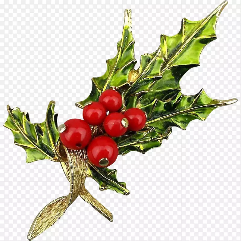 �ۺ챬�׻���ȻʳƷ-������