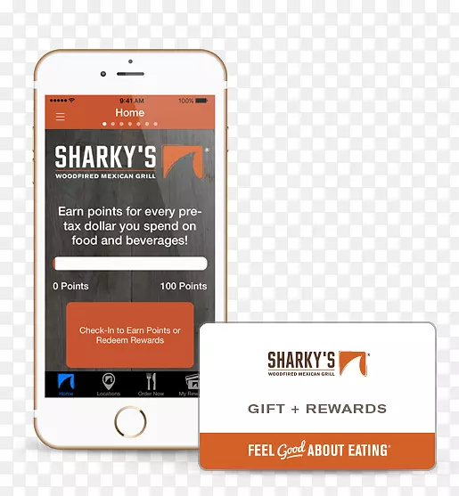 ���������ʳ������-������