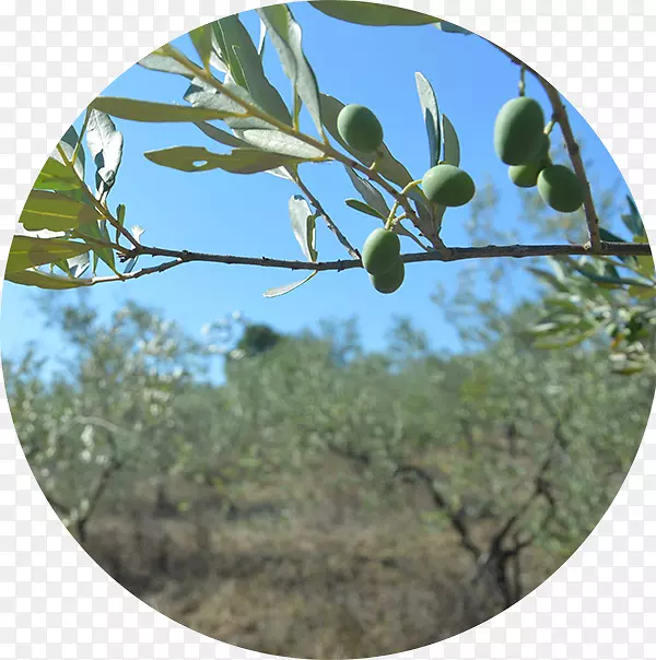 ���-���-������