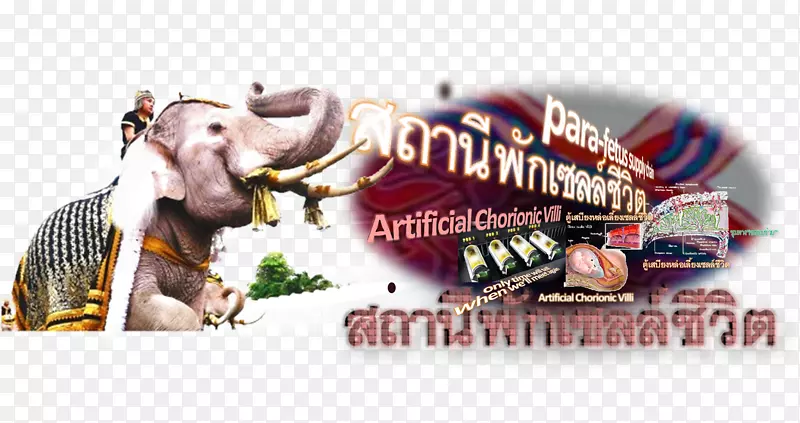 ������Ʒ����ʵ-������