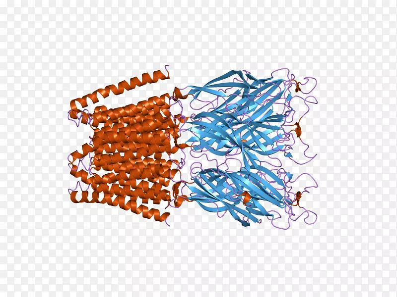 �����ߵ�Ʒ����-������