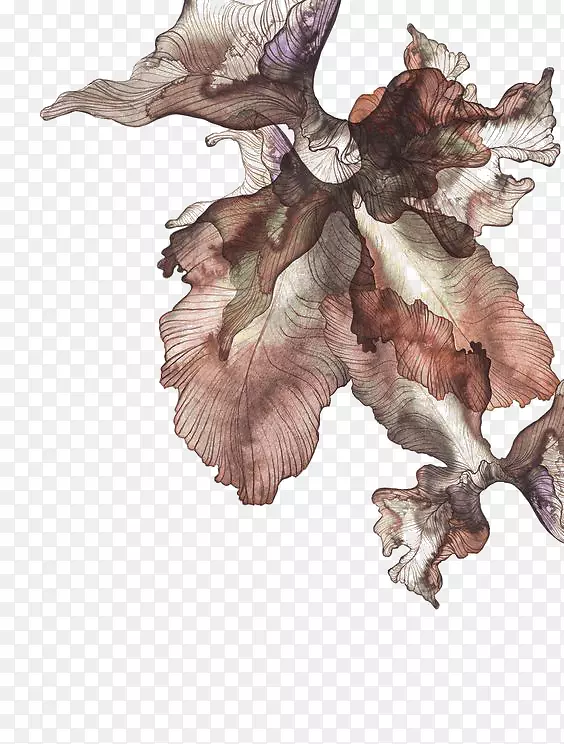 ˮ�ʻ���ͼ��-������