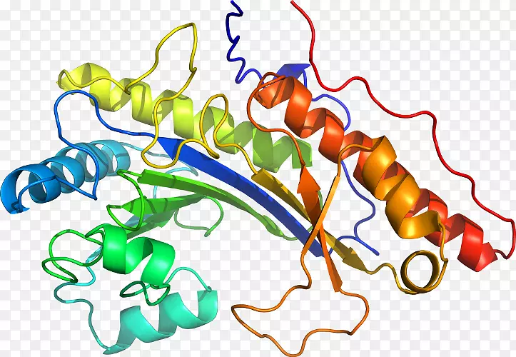 �ߵ������������-������