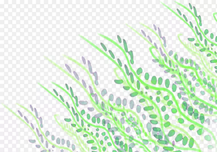 ֲ�ﾥҶ�ݶ�����Ӱ-������