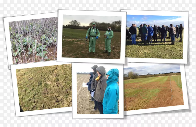 ��̬������˹���-������