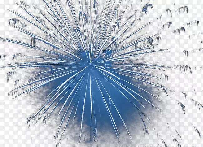 ������Ӱ��ֽ-�̻�-������