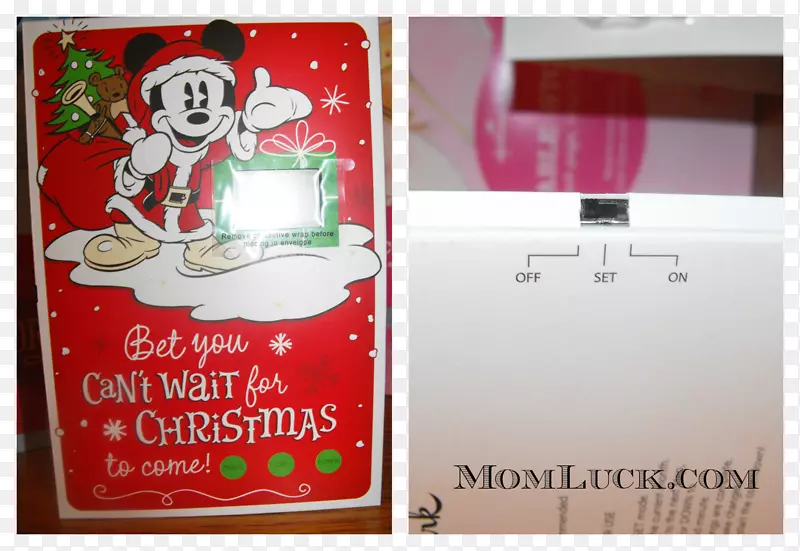 ʥ����������-ʥ����-������