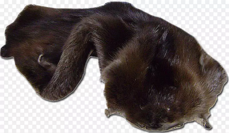 Ȯ��С���˶��������Ƥëó��-������