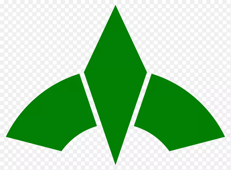 ֱ��������Ҷ��������-������