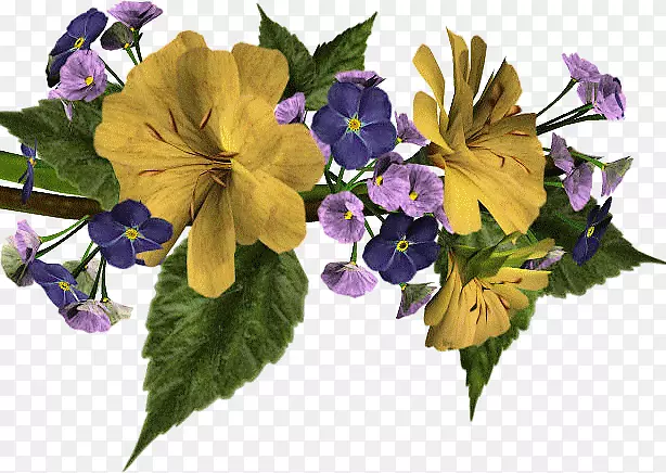 ���͵���������̳�л�-������