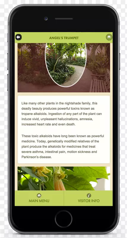 �����ֻ���ý��-�����ֻ�-������