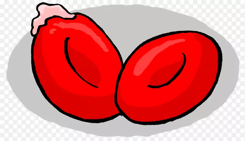 ƻ����ѧ������-ƻ��-������