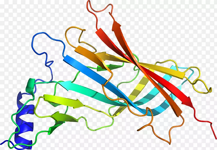 �ߵ������������-������