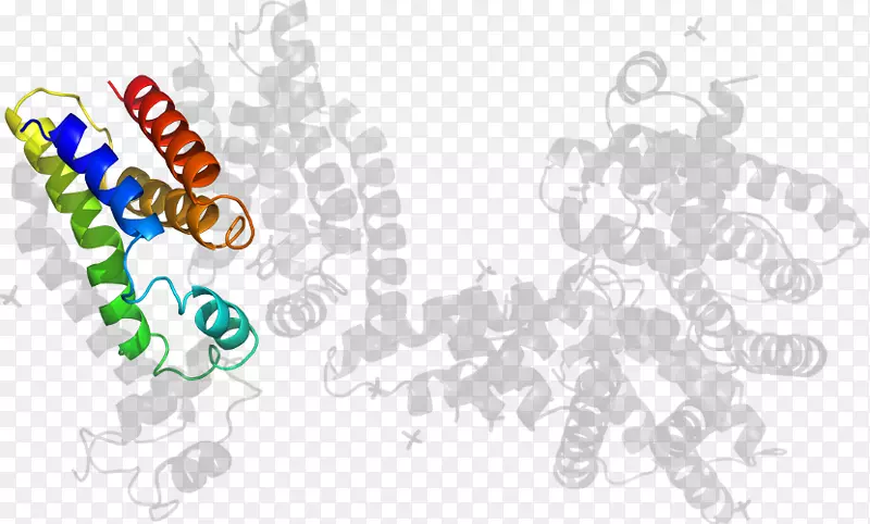 ���������鱦���������-������