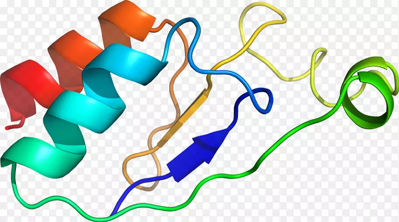 �ߵ������-��-������