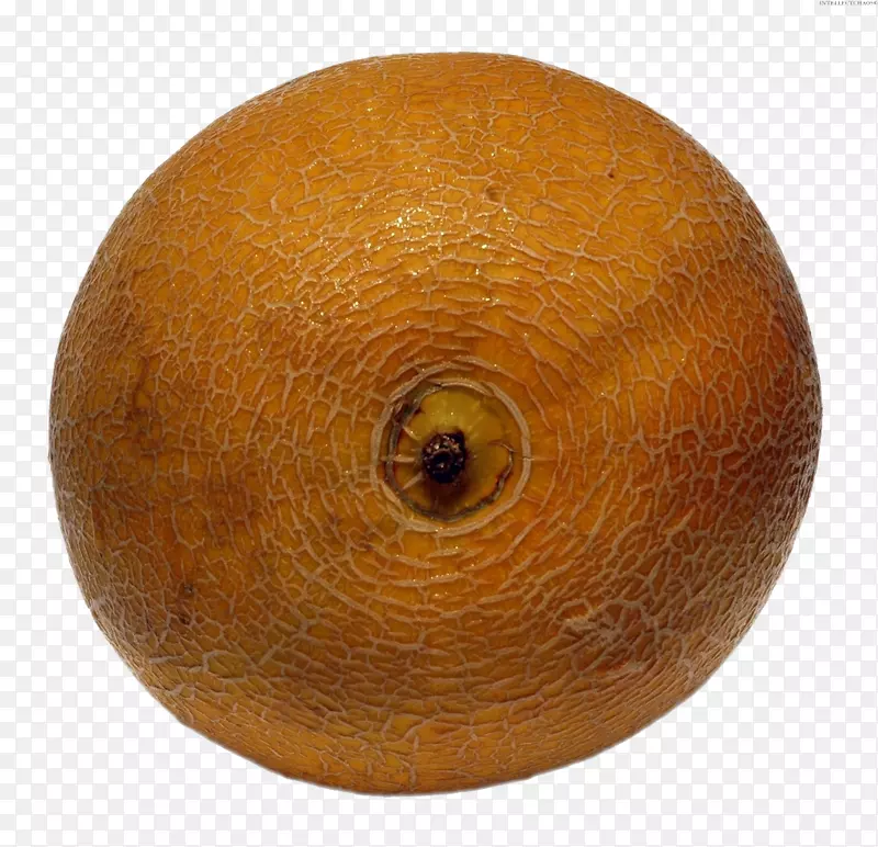 ���ƹ�-������