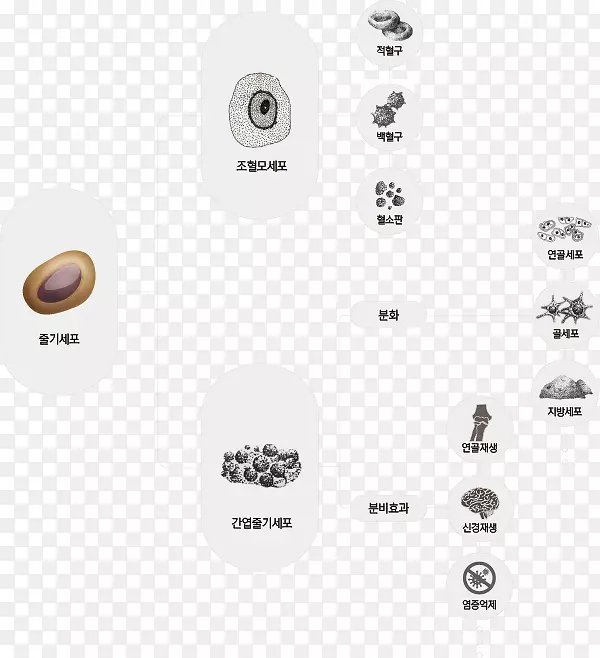 ��������-���Ѫ-������