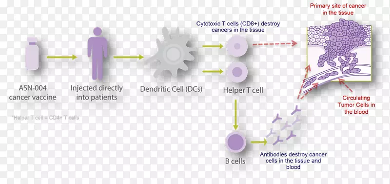 ͼ����-Ԥ����֢-������