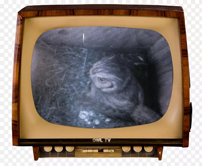 ���ӹ�����ζ��㲥��̨-���������èͷӥ-������