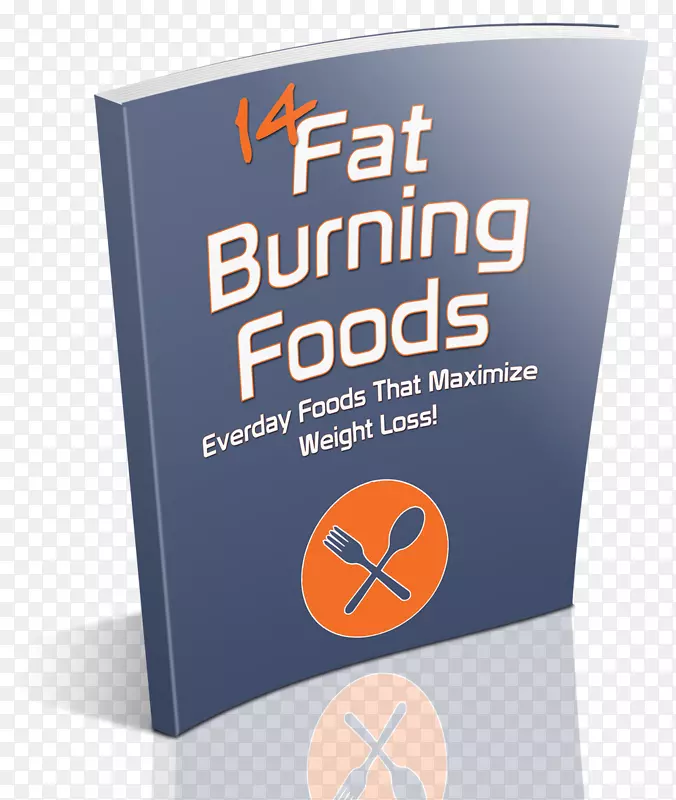 Ʒ�Ʊ�־�������-������