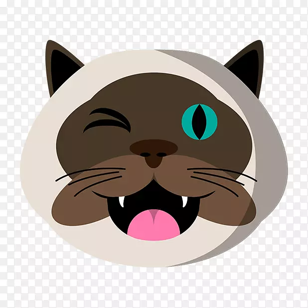 ����Сè���ӿ�ͨСè-������