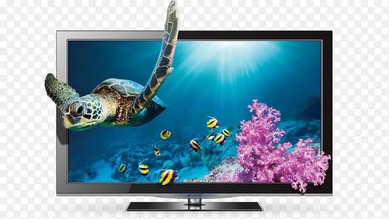 ���ֵ�����ά���ӻ�����ͼ��ղķ˹��÷¡-������