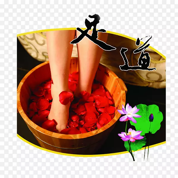 �㶬��Ѫ��-����������·-������