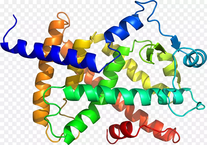 �����߶����������-������