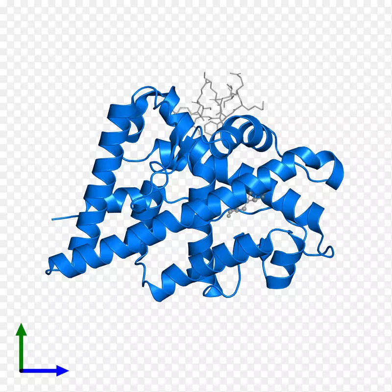 �ߵ������-��-������