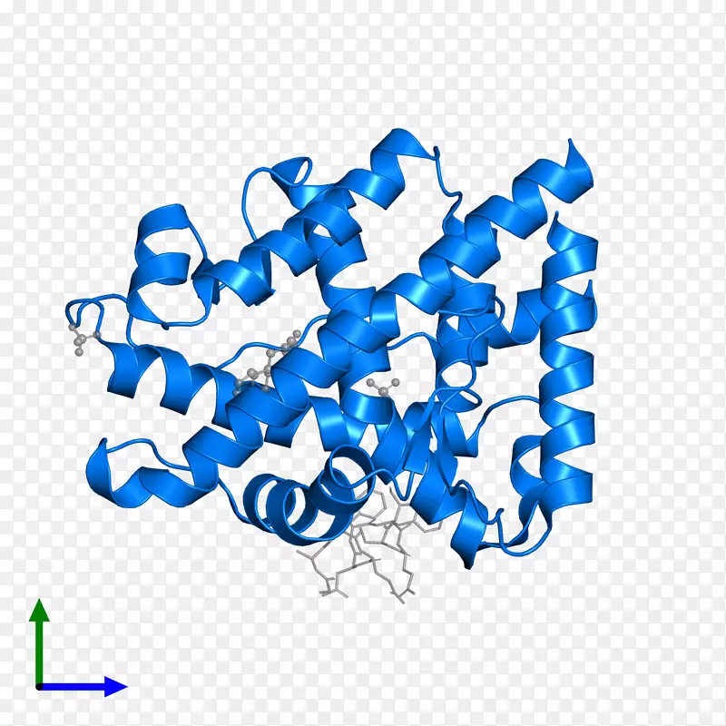 �ߵ������-��-������