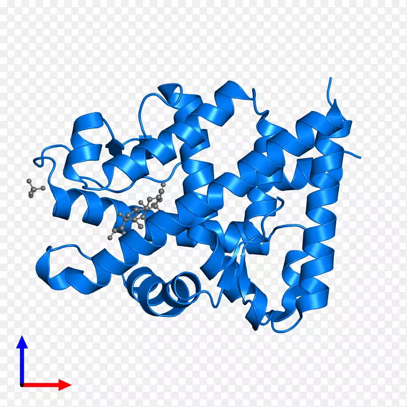 �߼�����-��-������