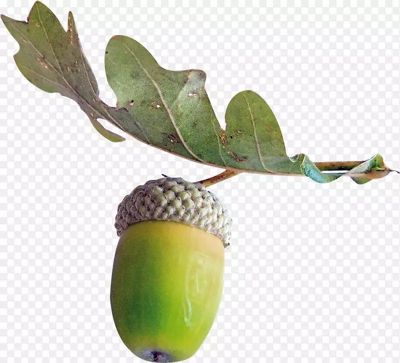 ������ɽ-�ҽ�������-xo-������