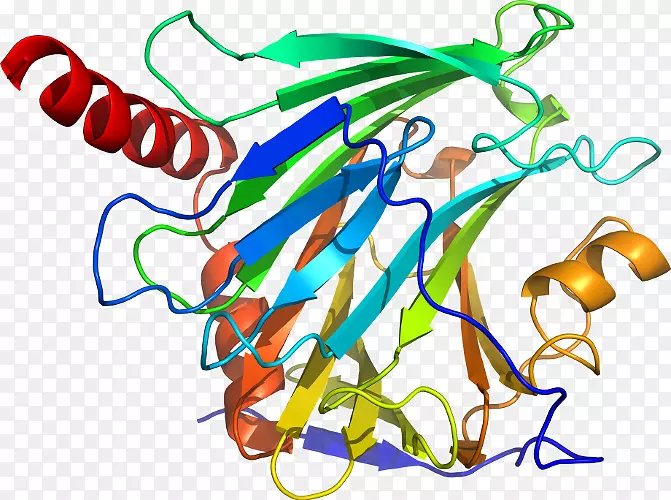 �ߵ������������-������