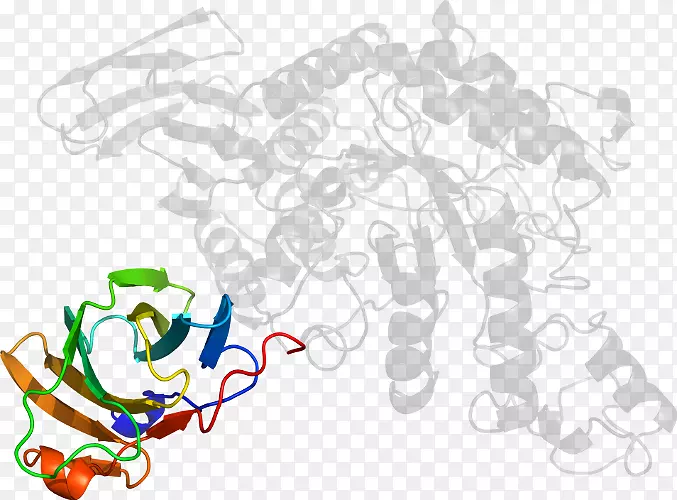 �ߵ������-��-������