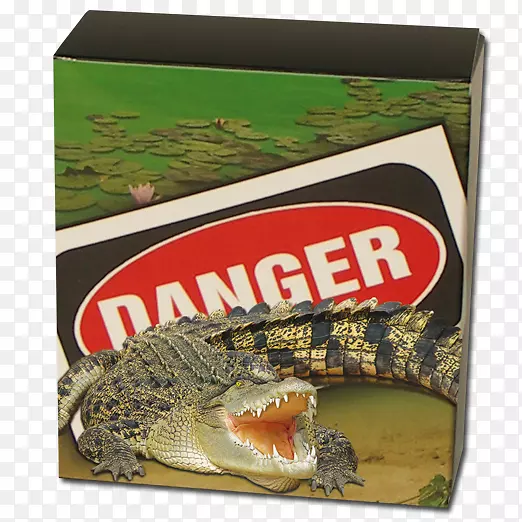 ��˹�������һ�ɳ��ˮ����-������