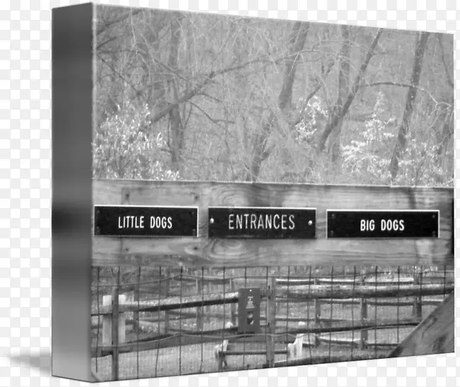 Ʒ�ư׹���԰-������