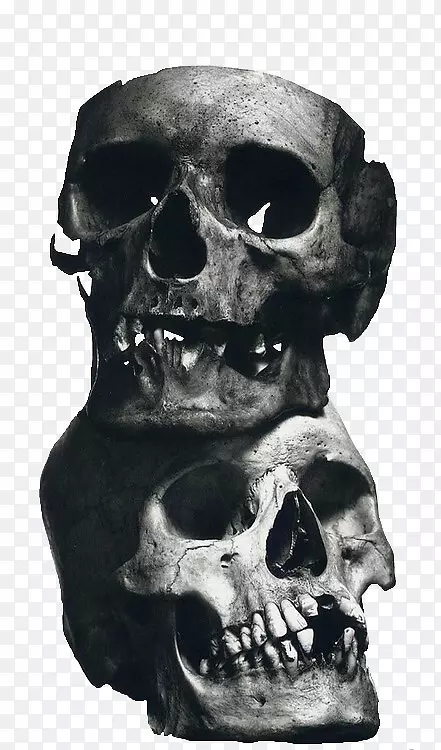 ������Ӱͷ����Ӱʦ����ͷ��-������