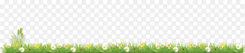 ��ƺ��ݲݵ������ֽ����-�л�����-������