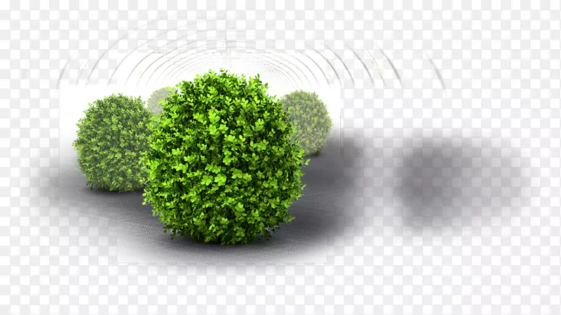 ��ľ԰��԰-������