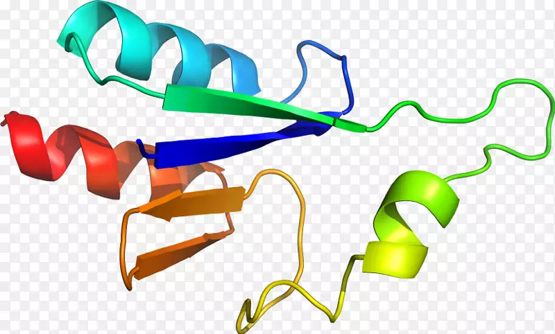 �ߵ������-��-������