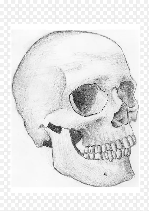 ��������-ͷ��-������