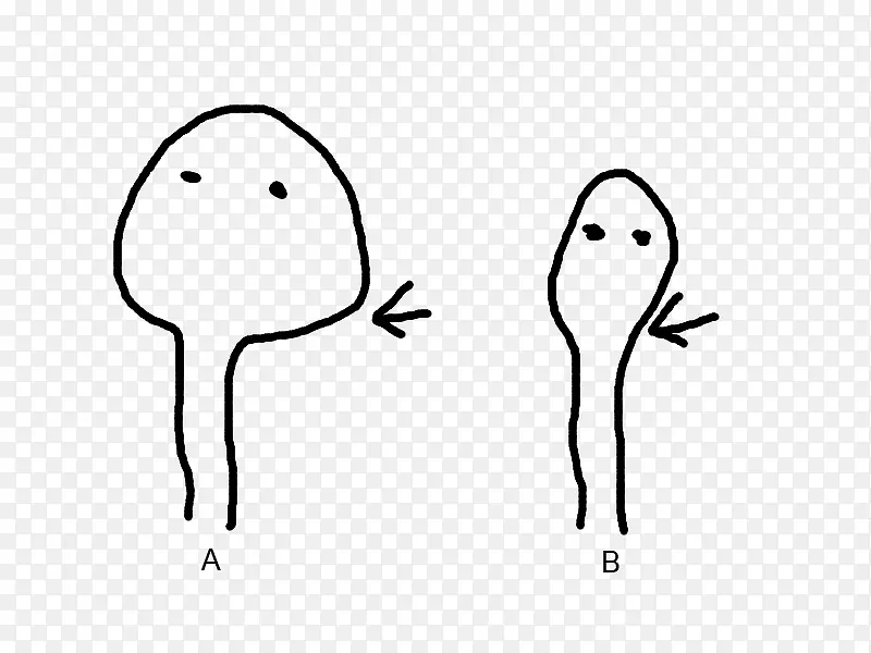 ����������Ϊ��������������-������