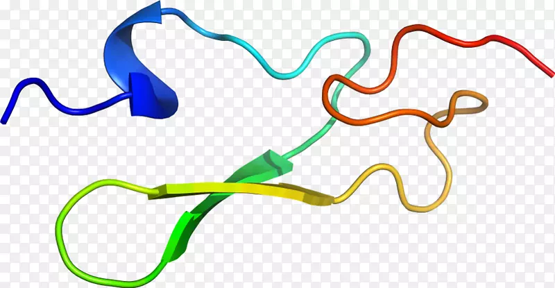 �ߵ������-��-������