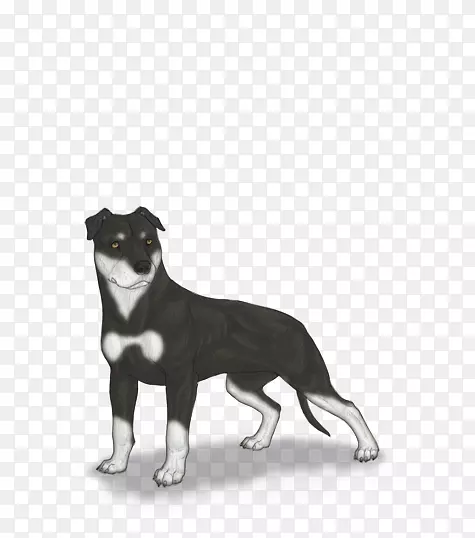 Ȯ�ֱ��ѹ�ţ-������