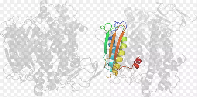 ƽ����Ƴ�������.���-������