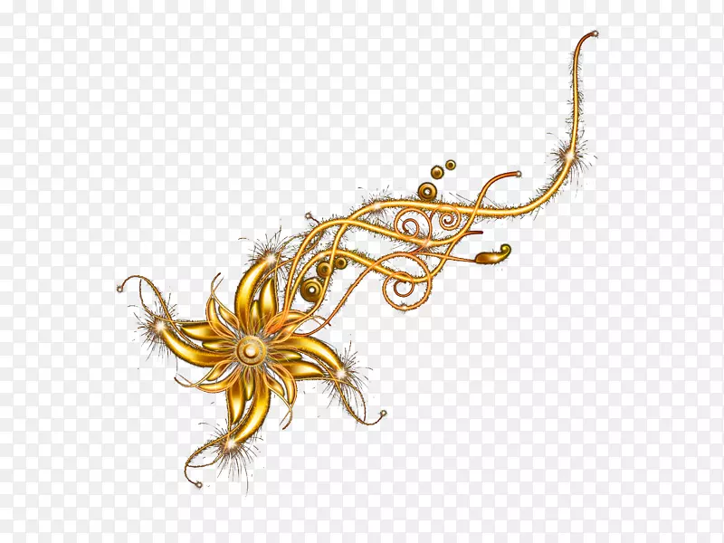 ����Ҷ��-������