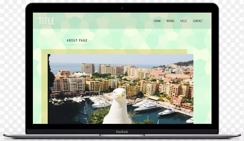 Fonvieille��ʾװ�ö�ý����ʾ���չ������-������